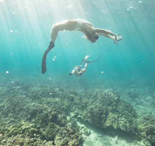 Thiết bị lặn robot cá mập trắng MIX dưới nước